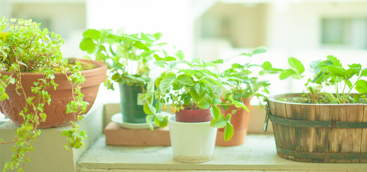 邑楽郡大泉町仙石 内科 消化器内科